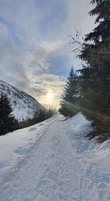 Residenza Sofia - Ponte Di Legno Fraz. Pezzo Villa Bagian luar foto