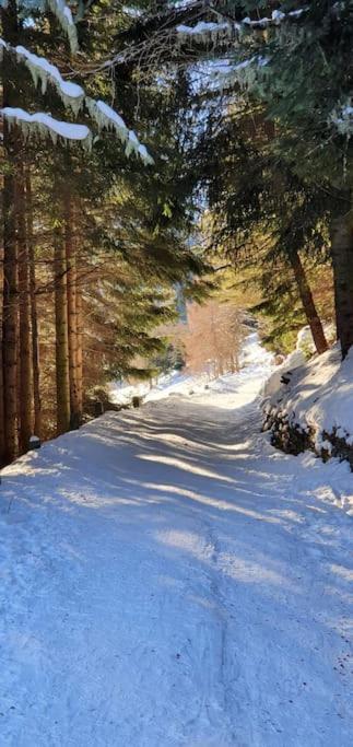 Residenza Sofia - Ponte Di Legno Fraz. Pezzo Villa Bagian luar foto